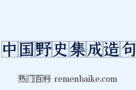 中国野史集成造句是什么意思的图片